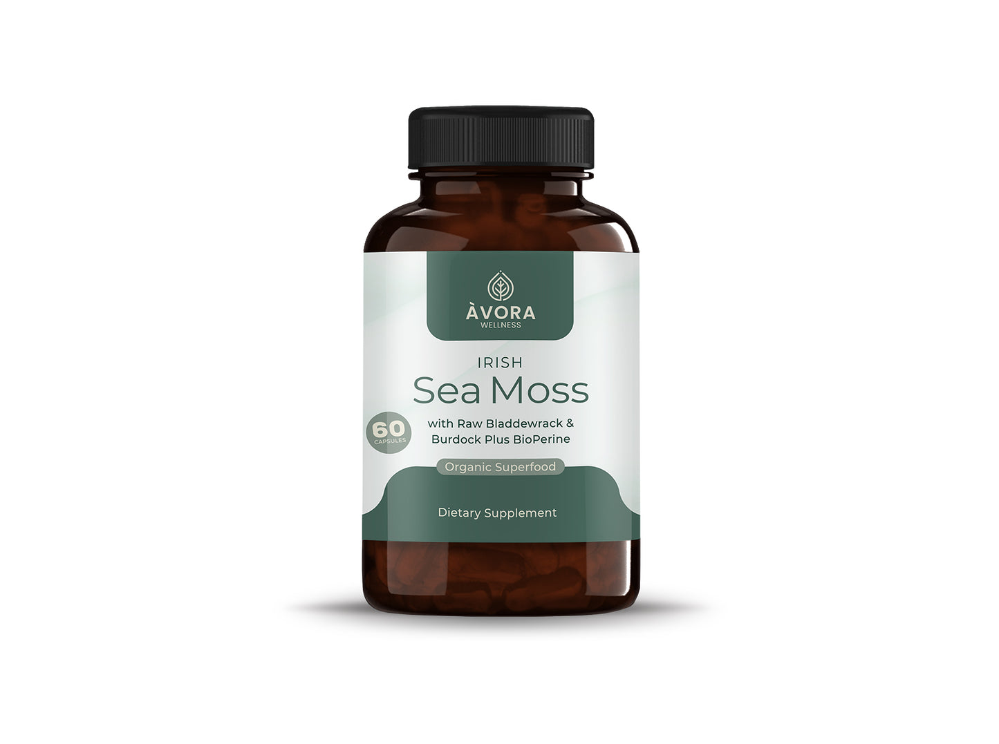 Land & Sea Bundle